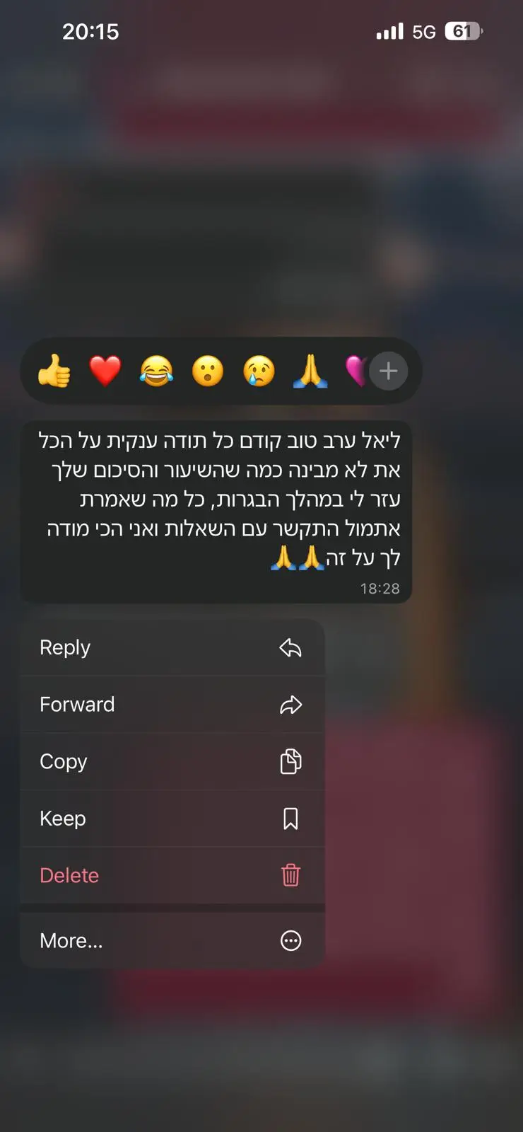 המלצה