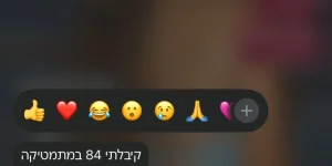 WhatsApp Image 2026-02-07 at 3.05.36 PM